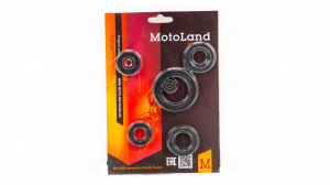 Набор сальников 164FML (CG200) Набор сальников 164FML (CG200)