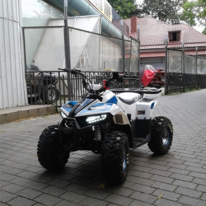 Запчасти для 110 EAGLE Запчасти для 110 EAGLE