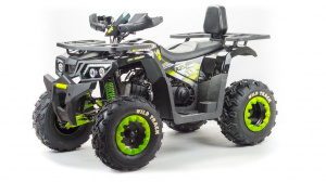 Запчасти для 200 WILD TRUCK фото 2 Запчасти для 200 WILD TRUCK фото 2