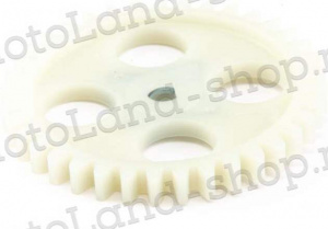 Шестерня маслонасоса 172FMM-5 (PR250 сбалансиром) Шестерня маслонасоса 172FMM-5 (PR250 сбалансиром)