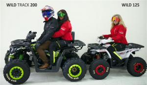 Запчасти для 200 WILD TRUCK фото 9 Запчасти для 200 WILD TRUCK фото 9