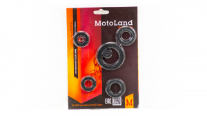 Набор сальников 169FMM (CB250) Набор сальников 169FMM (CB250)