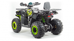 Запчасти для 200 WILD TRUCK фото 7 Запчасти для 200 WILD TRUCK фото 7