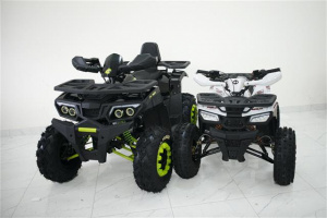 Запчасти для 200 WILD TRUCK фото 8 Запчасти для 200 WILD TRUCK фото 8