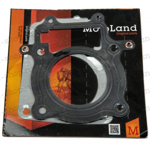 Набор прокладок ЦПГ 172FMM-5 (PR250 сбалансиром) Набор прокладок ЦПГ 172FMM-5 (PR250 сбалансиром)