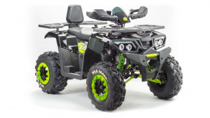 Запчасти для 200 WILD TRUCK фото 5 Запчасти для 200 WILD TRUCK фото 5