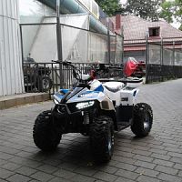 �������� ��� 110 EAGLE