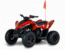 CFMOTO CFORCE 110 EFI