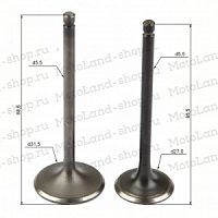 ������� ��� (�����.=2��) 250��3 172FMM-5 PR250  X-TECH