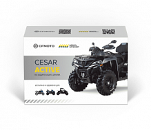   Cesar Active